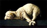 スルバラン：生贄の羊